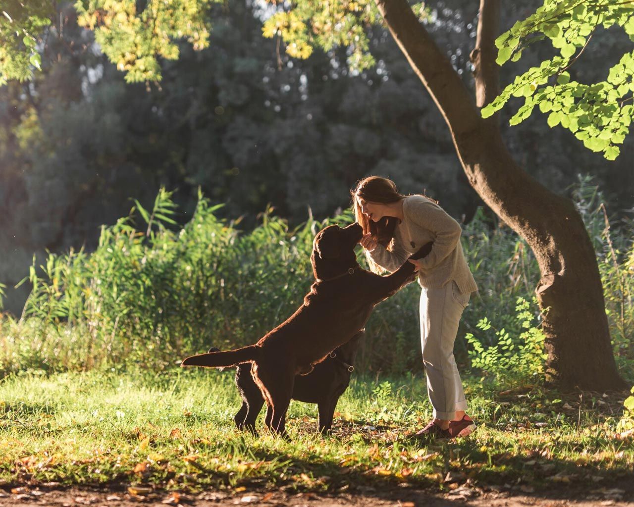 AREA SGAMBAMENTO CANI