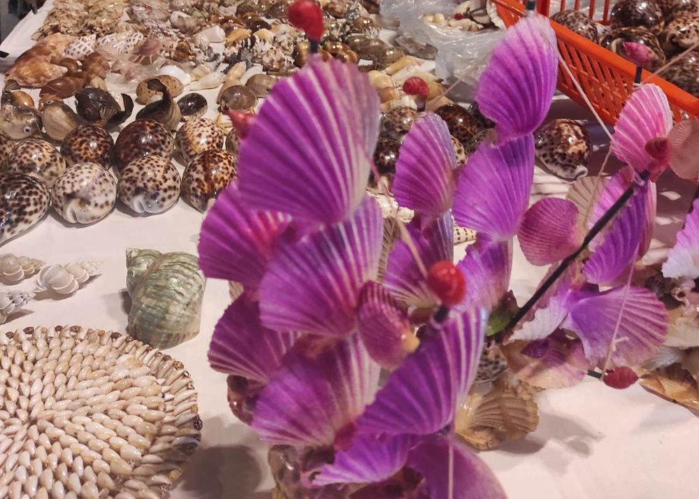 Immagine di FIERA DELLA CONCHIGLIA