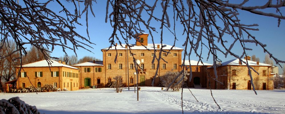 Immagine di San Mauro Pascoli saluta il 2024!