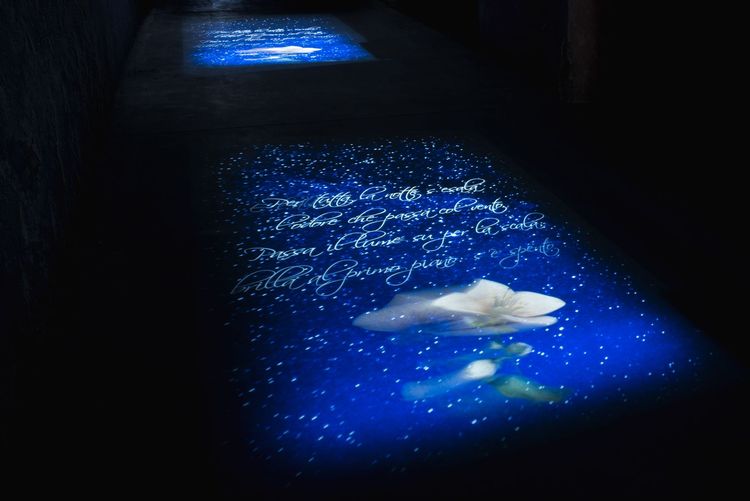 VISITA GUIDATA AL MUSEO MULTIMEDIALE E AL PALAZZO NOBILE DI VILLA TORLONIA - 23 MAG 2026