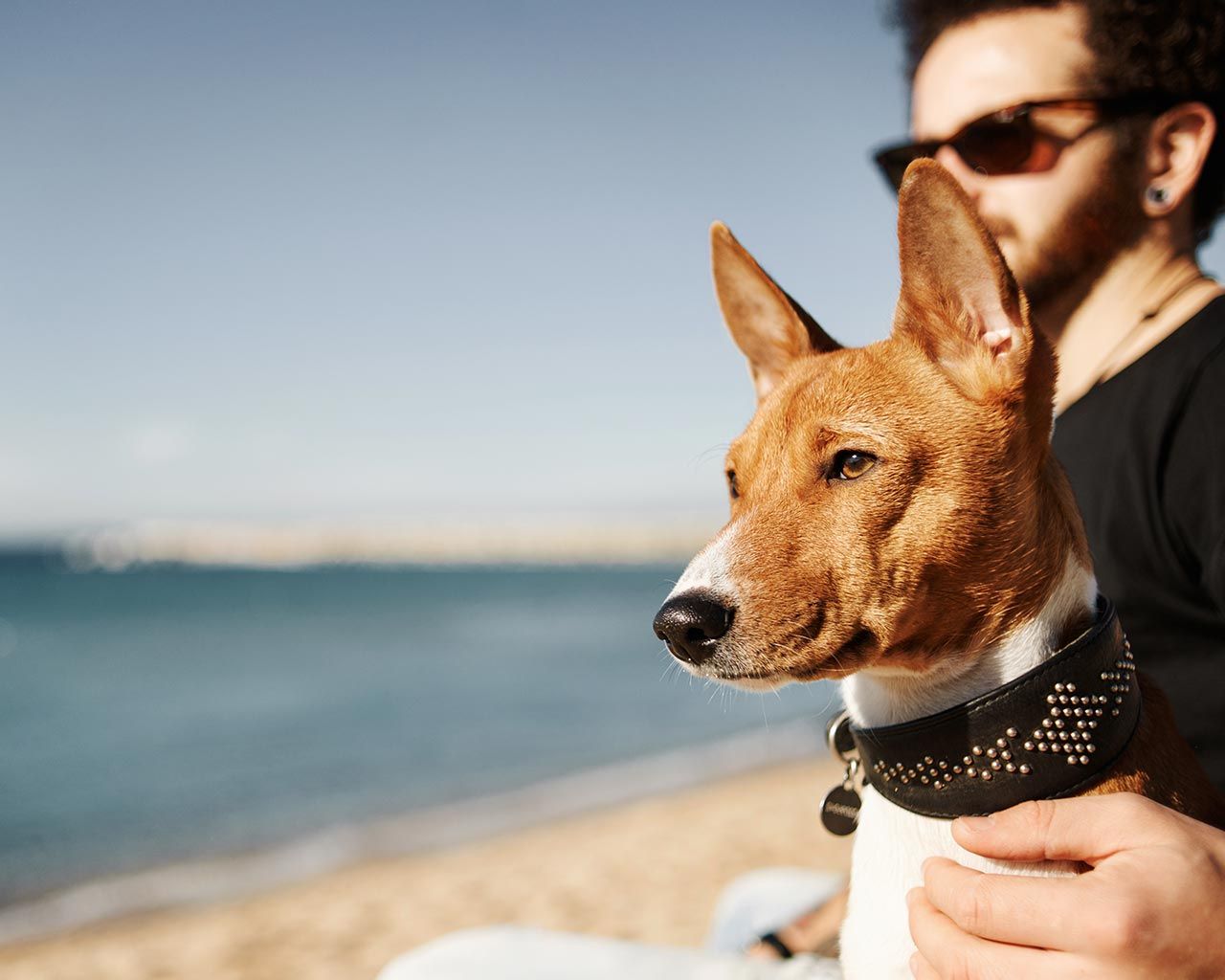 SPIAGGE PET-FRIENDLY